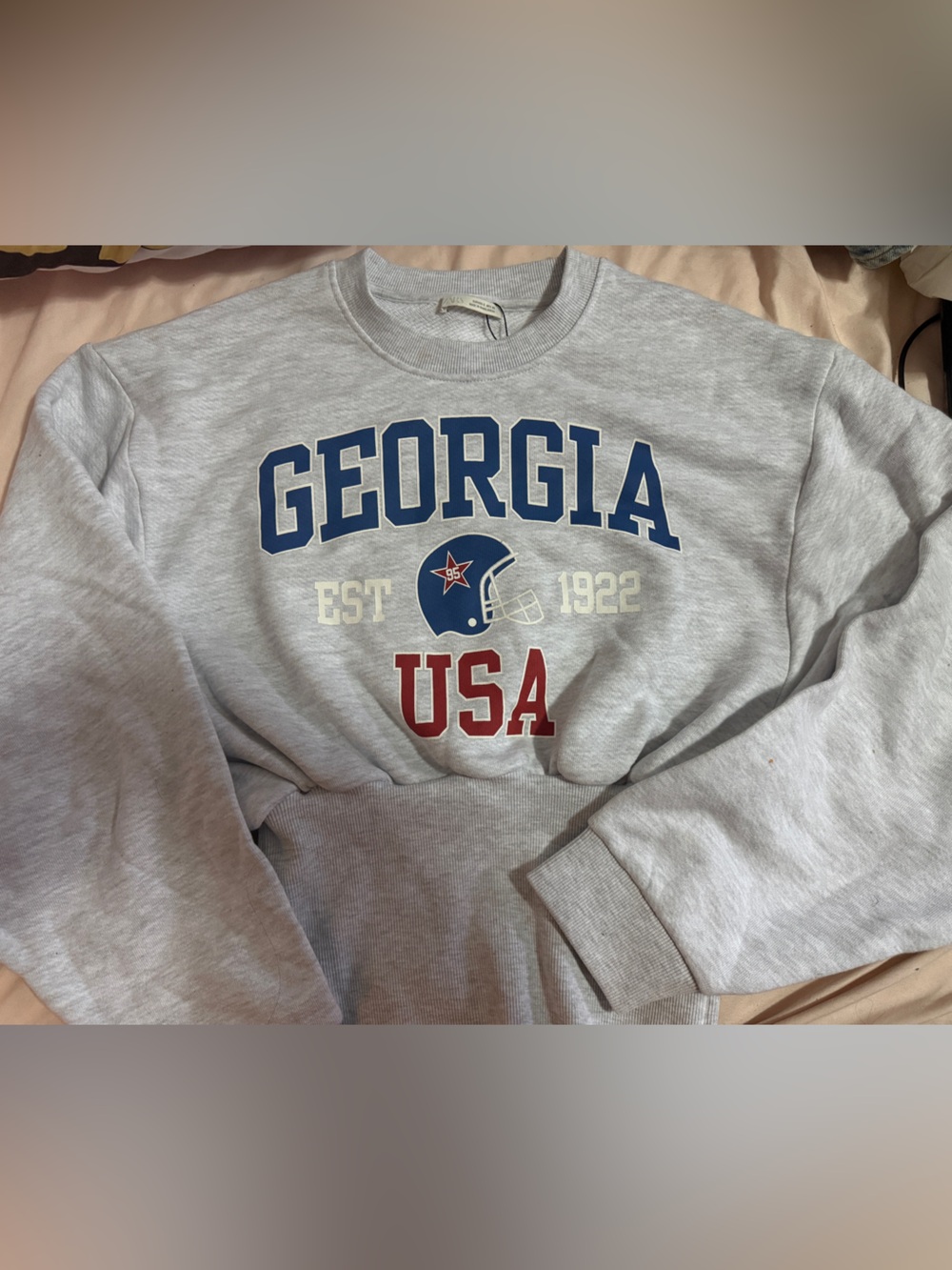 ZARA Georgia USA Graphic Crewneck Sweatshirt - Gray